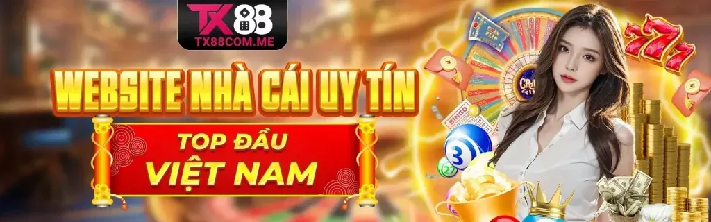 Điều Khoản Dịch Vụ HT368